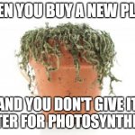 dead plant | WHEN YOU BUY A NEW PLANT; AND YOU DON'T GIVE IT WATER FOR PHOTOSYNTHESIS | image tagged in dead plant | made w/ Imgflip meme maker