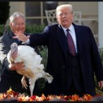 Trump Pardons Turkey