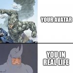the reality | YOUR AVATAR; YOU IN REAL LIFE | image tagged in 60's rhino | made w/ Imgflip meme maker