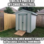 Some people had trees up at Halloween | THIS IS A PHOTO OF
MY CHRISTMAS TREE. IT’S STILL IN THE SHED WHERE IT SHOULD
BE,  BECAUSE IT’S STILL NOVEMBER. | image tagged in shed,christmas,tree,november,too early,memes | made w/ Imgflip meme maker