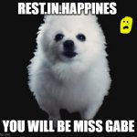 WE LOVE YOU GABE! T-T | REST.IN.HAPPINES; YOU WILL BE MISS GABE | image tagged in gabe the dog | made w/ Imgflip meme maker