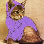 Hipster Kitty liked dead memes before they were dead | MODS ARE ASLEEP; POST DEAD MEMES | image tagged in hipster kitty,dead memes,dead memes week,dead meme,holy grail bring out your dead memes,deadmau5 | made w/ Imgflip meme maker