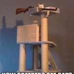 Sniper Cat | HOW CREEPERS SEE CATS | image tagged in sniper cat | made w/ Imgflip meme maker