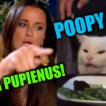 woman yelling at cat cropped | POOPY ANUS; EMPEROR PUPIENUS! | image tagged in woman yelling at cat cropped,emperor pupienus,poopy pants,poopy anus,puns,word play | made w/ Imgflip meme maker