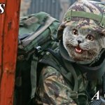 It's a go! Cat Commando | IT'S; A GO! | image tagged in cat commando | made w/ Imgflip meme maker