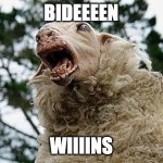 SHEEPY BIDEN | BIDEEEEN; WIIIINS | image tagged in mad sheep,political meme,joe biden | made w/ Imgflip meme maker