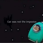 Cat was not the impostor