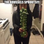 Stop and smell | IN LIFE, IT'S IMPORTANT TO STOP AND SMELL THE BRUSSELS SPROUTS!!! | image tagged in brussel sprouts | made w/ Imgflip meme maker