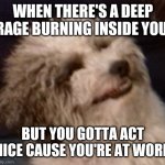 Coqui | WHEN THERE'S A DEEP RAGE BURNING INSIDE YOU; BUT YOU GOTTA ACT NICE CAUSE YOU'RE AT WORK | image tagged in coqui,dogs,funny dogs,cute dog,smiling dog | made w/ Imgflip meme maker