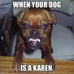 mad dog! | WHEN YOUR DOG; IS A KAREN. | image tagged in mad dog | made w/ Imgflip meme maker