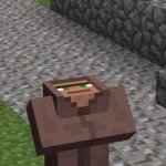 Villager