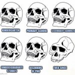 School skulls | PRIMARY SCHOOL; SECONDARY SCHOOL(S); KINDERGARTEN; (UNDER)GRADUATE STUDIES; BEGINNING OF PHD; EVER SINCE | image tagged in idiot skull meme,phd,depression,brain,education | made w/ Imgflip meme maker