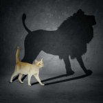 Cat with Lion Shadow meme
