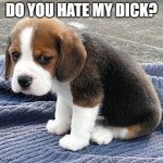 Do you hate my dick?