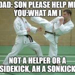 Karate side kick | DAD: SON PLEASE HELP ME
YOU:WHAT AM I; NOT A HELPER OR A SIDEKICK, AH A SONKICK | image tagged in karate side kick | made w/ Imgflip meme maker