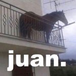 Juan the Horse meme