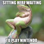 frog waiting | SITTING HERE WAITING; TO PLAY NINTENDO | image tagged in frog waiting | made w/ Imgflip meme maker