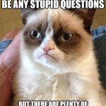 There might not be stupid questions | THERE MIGHT NOT BE ANY STUPID QUESTIONS; BUT THERE ARE PLENTY OF QUESTIONS ASKED BY STUPID PEOPLE | image tagged in grumpy cat | made w/ Imgflip meme maker