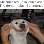 Forced To Smile Dog | Me:*messes up in latin class*
The demon I Just Summoned: | image tagged in forced to smile dog,demon,funny memes | made w/ Imgflip meme maker