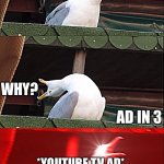 Inhaling Pigeon | *YOUTUBE VIDEO*; WHY? AD IN 3; *YOUTUBE TV AD* | image tagged in inhaling pigeon,shut | made w/ Imgflip meme maker