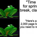 Every school ever | "Time for spring break, class"; "Here's a 2,000 page book you need to read" | image tagged in shocked frogger,frogger | made w/ Imgflip meme maker