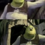 Shocked Shrek Face Swap