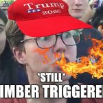 timber triggered fire