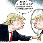 Trump mirror