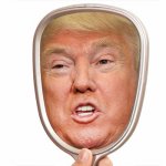 Trump mirror