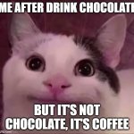 Awkward Smile Cat | ME AFTER DRINK CHOCOLATE BUT IT'S NOT CHOCOLATE, IT'S COFFEE | image tagged in awkward smile cat | made w/ Imgflip meme maker
