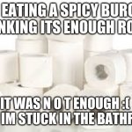 Rolls of toliet paper | ME EATING A SPICY BURGER THINKING ITS ENOUGH ROLLS; IT WAS N O T ENOUGH :( 
NOW IM STUCK IN THE BATHROOM | image tagged in rolls of toliet paper | made w/ Imgflip meme maker