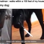 mess with labbo you get stabbo | mailman : walks within a 100 feet of my house; my dog: | image tagged in mess with labbo you get stabbo | made w/ Imgflip meme maker