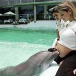 Dolphin baby daddy