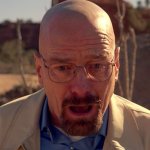 Walter White Face
