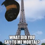 Pray for Paris | WHAT DID YOU SAY TO ME MORTAL? | image tagged in guinea pig,paris,funny,hilarious,cute,fat | made w/ Imgflip meme maker