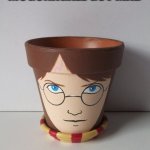 Harry Pottery | MCGONAGALL GOT MAD | image tagged in harry pottery | made w/ Imgflip meme maker