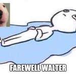 Press F for walter | FAREWELL WALTER | image tagged in sad meme | made w/ Imgflip meme maker