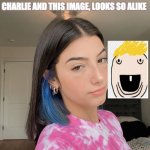 charli damelio | CHARLIE AND THIS IMAGE, LOOKS SO ALIKE; JUST ME? | image tagged in charli damelio | made w/ Imgflip meme maker