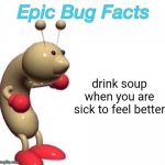 Epic Bug Facts | drink soup when you are sick to feel better | image tagged in epic bug facts | made w/ Imgflip meme maker