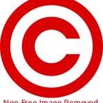 Non Free image removed