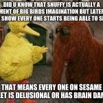 Big Bird And Snuffy | DID U KNOW THAT SNUFFY IS ACTUALLY A FIGMENT OF BIG BIRDS IMAGINATION BUT LATER ON IN THE SHOW EVERY ONE STARTS BEING ABLE TO SEE HIM; THAT MEANS EVERY ONE ON SESAME STREET IS DELUSIONAL OR HAS BRAIN DAMAGE | image tagged in memes,big bird and snuffy | made w/ Imgflip meme maker