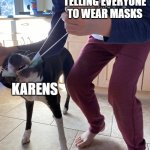 Dog with Mask | U.S GOVENMENT TELLING EVERYONE TO WEAR MASKS; KARENS | image tagged in dog with mask,karen,face mask | made w/ Imgflip meme maker