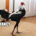 Fancy Chicken | FANCY | image tagged in fancy chicken | made w/ Imgflip meme maker