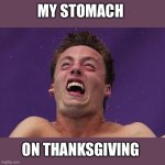 Thanksgiving stomach feeling | MY STOMACH; ON THANKSGIVING | image tagged in man in pain | made w/ Imgflip meme maker