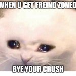 14 yr old girls | WHEN U GET FREIND ZONED; BYE YOUR CRUSH | image tagged in 14 yr old girls | made w/ Imgflip meme maker