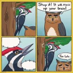 Bird pecking tree meme