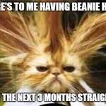 bad hair day | HERE'S TO ME HAVING BEANIE HAIR; FOR THE NEXT 3 MONTHS STRAIGHT .. | image tagged in bad hair day | made w/ Imgflip meme maker