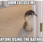 Snake peeking around corner | UMM EXCUSE ME; IS ANYONE USING THE BATHROOM | image tagged in snake peeking around corner | made w/ Imgflip meme maker
