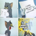 meme | I really like you,
From your crush; WHOOPS WRONG GUY | image tagged in tom and jerry custard pie,crush | made w/ Imgflip meme maker