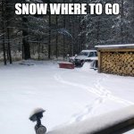 snow | SNOW WHERE TO GO | image tagged in snow | made w/ Imgflip meme maker